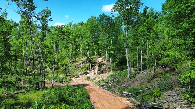 535 Highwater rd, Waverly, TN 37185