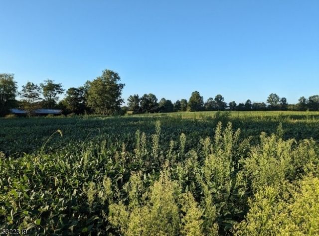 554 Oak Grove Rd, Kingwood Twp., NJ 08825