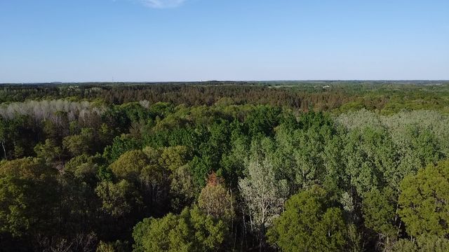 10308 S Oaks Road, Brainerd, MN 56401