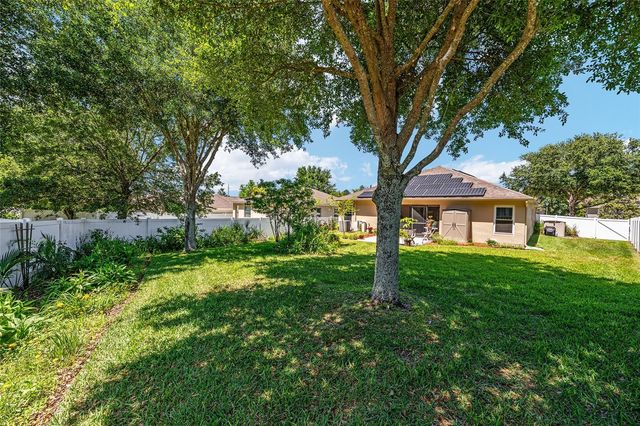 5814 COQUYT DRIVE, Mount Dora, FL 32757