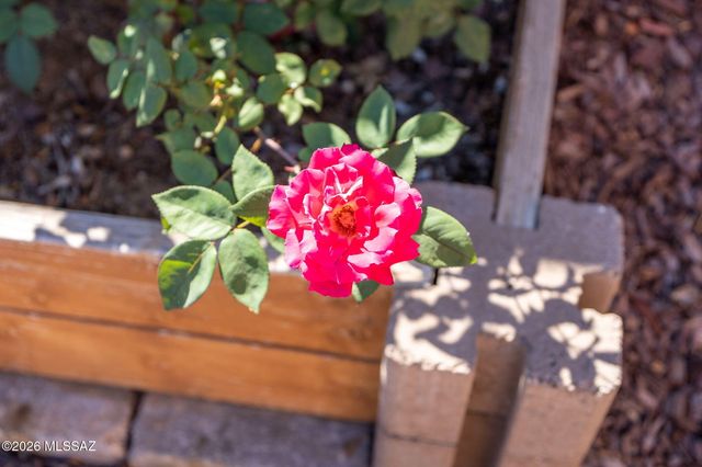 656 S Adanirom Judson Avenue, Corona De Tucson, AZ 85641