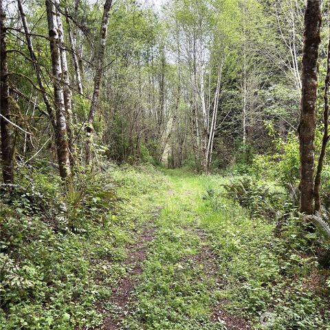 0 40 acres 143rd Avenue SE, Tenino, WA 98589