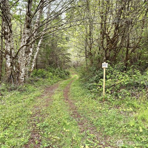 0 40 acres 143rd Avenue SE, Tenino, WA 98589