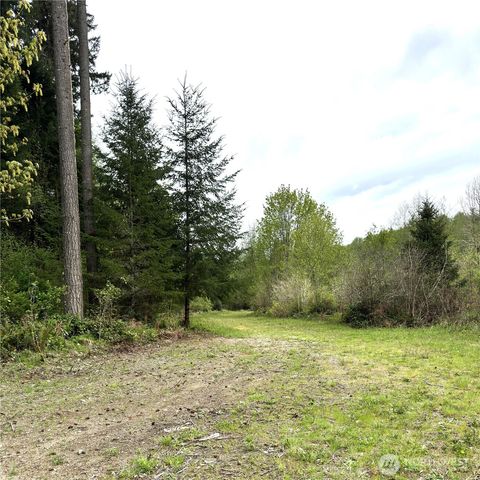 0 40 acres 143rd Avenue SE, Tenino, WA 98589