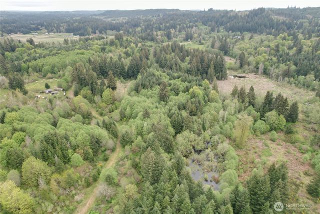 0 40 acres 143rd Avenue SE, Tenino, WA 98589
