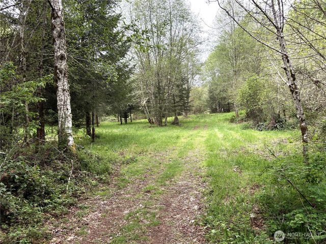 0 40 acres 143rd Avenue SE, Tenino, WA 98589