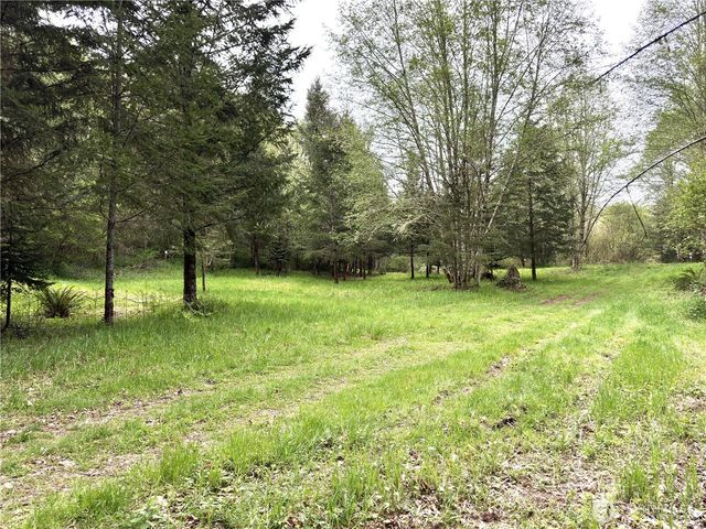0 40 acres 143rd Avenue SE, Tenino, WA 98589