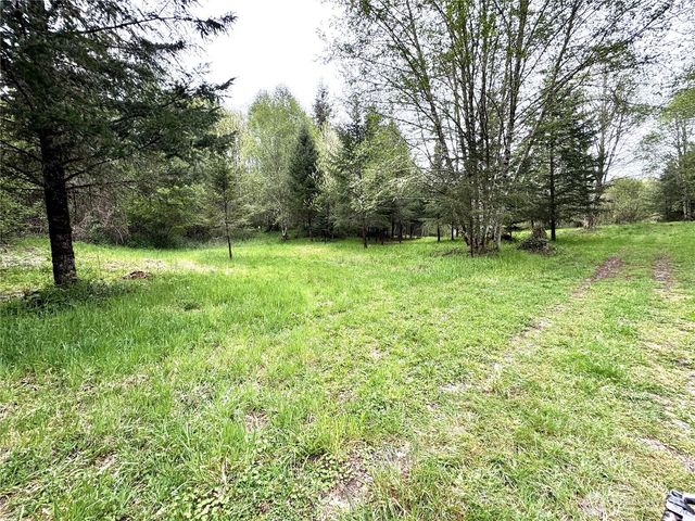 0 40 acres 143rd Avenue SE, Tenino, WA 98589