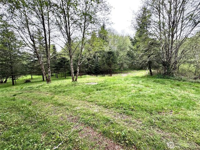 0 40 acres 143rd Avenue SE, Tenino, WA 98589