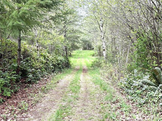 0 40 acres 143rd Avenue SE, Tenino, WA 98589