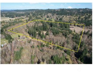 0 40 acres 143rd Avenue SE, Tenino, WA 98589