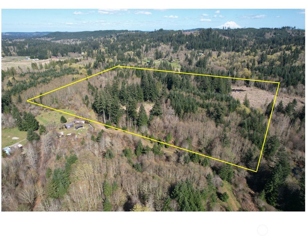 0 40 acres 143rd Avenue SE, Tenino, WA 98589