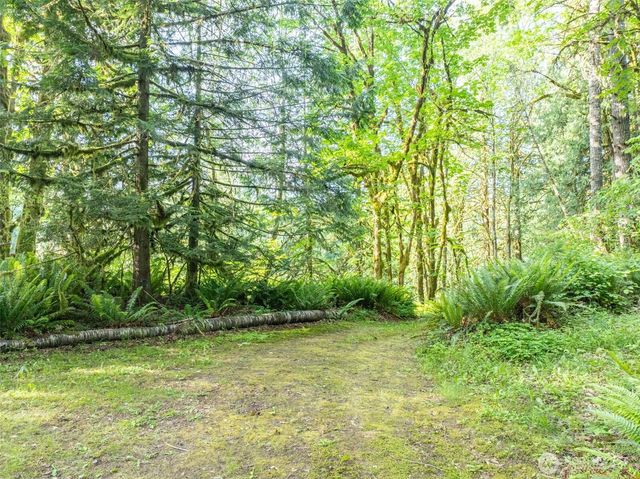 227 Cougar Lane, Toledo, WA 98591