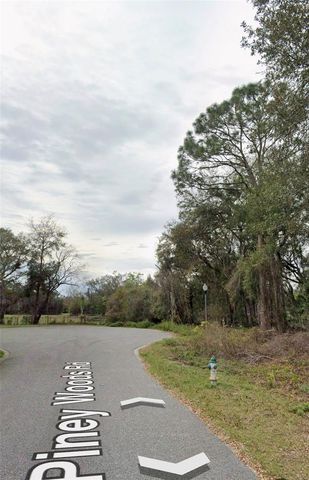 101 PINEY WOODS ROAD, Apopka, FL 32703