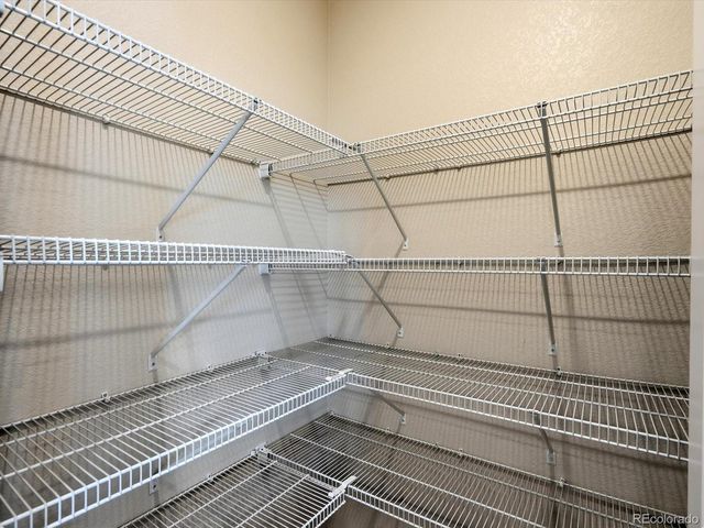 1612 Rumley Creek Drive, Windsor, CO 80550