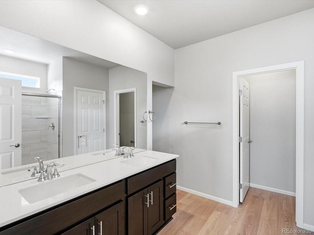 1612 Rumley Creek Drive, Windsor, CO 80550