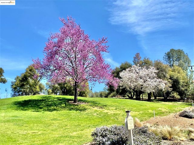 19621 Cottonwood St, Groveland, CA 95321