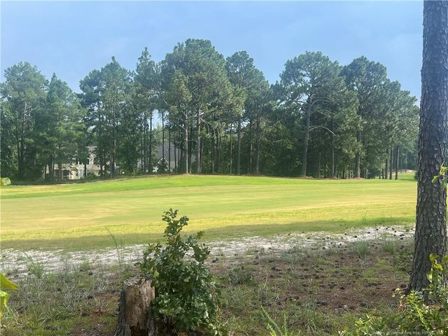 1385 Micahs Way, Spring Lake, NC 28390