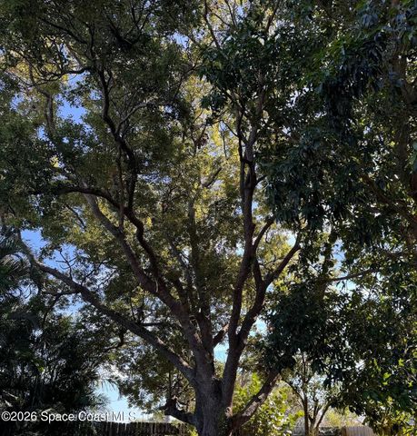 1165 Aron Street, Cocoa, FL 32927