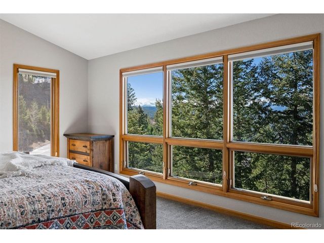 29451 Falcon Ridge Dr, Evergreen, CO 80439