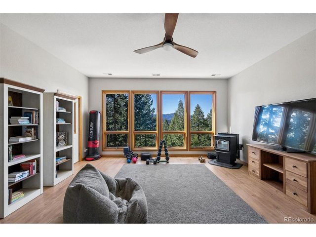 29451 Falcon Ridge Dr, Evergreen, CO 80439