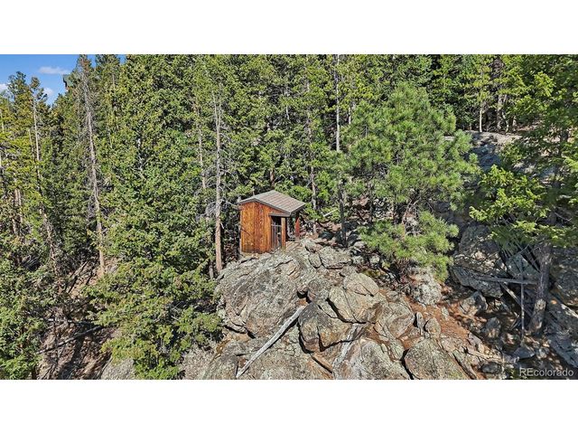 29451 Falcon Ridge Dr, Evergreen, CO 80439