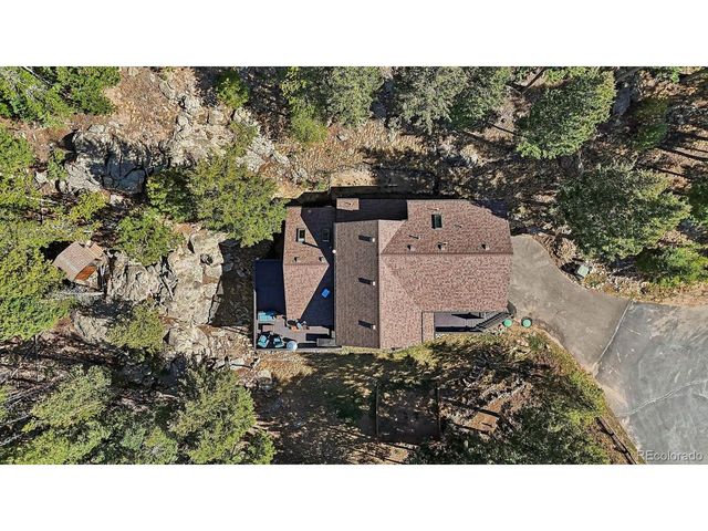 29451 Falcon Ridge Dr, Evergreen, CO 80439