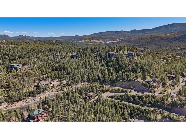 29451 Falcon Ridge Dr, Evergreen, CO 80439
