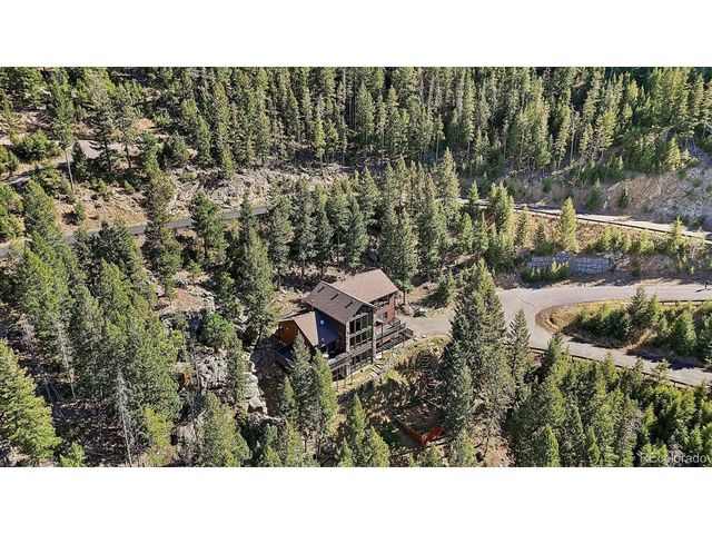 29451 Falcon Ridge Dr, Evergreen, CO 80439