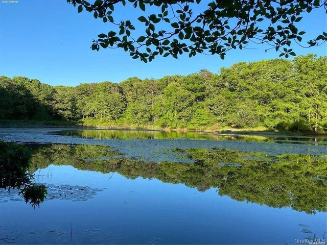 38 Corey Trail, Ridge, NY 11961