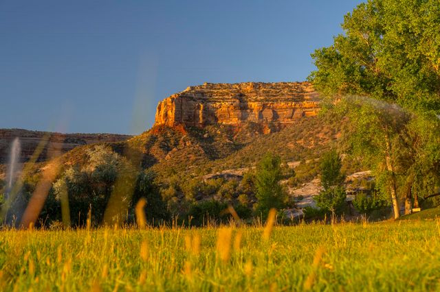 363 Granite Falls Way, Grand Junction, CO 81507