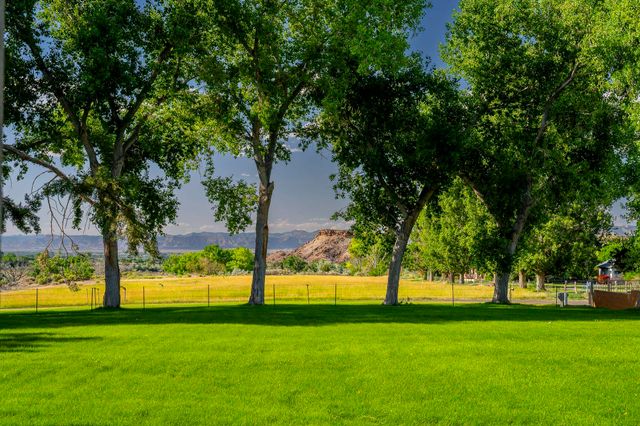 363 Granite Falls Way, Grand Junction, CO 81507