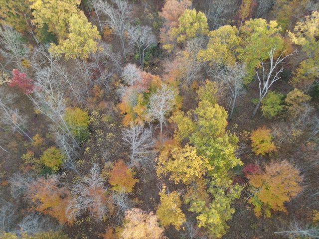 530 Rankin Mill Road, Falmouth, KY 41040