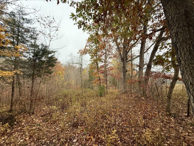 530 Rankin Mill Road, Falmouth, KY 41040