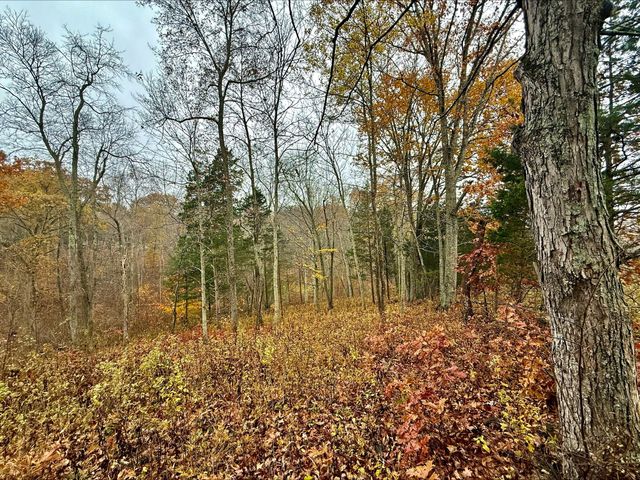 530 Rankin Mill Road, Falmouth, KY 41040