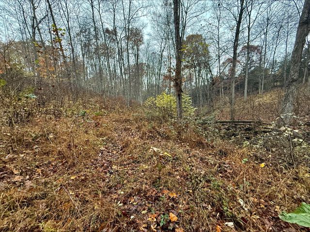 530 Rankin Mill Road, Falmouth, KY 41040