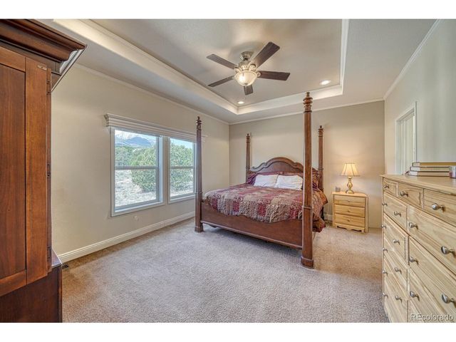 14124 County Road 162, Nathrop, CO 81236