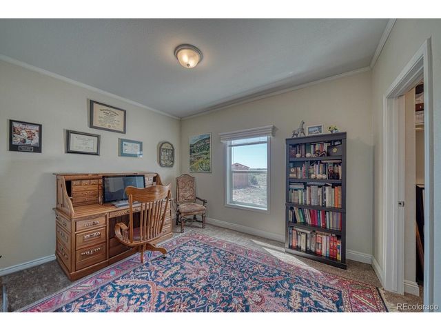 14124 County Road 162, Nathrop, CO 81236