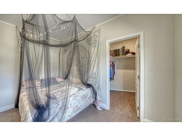 14124 County Road 162, Nathrop, CO 81236