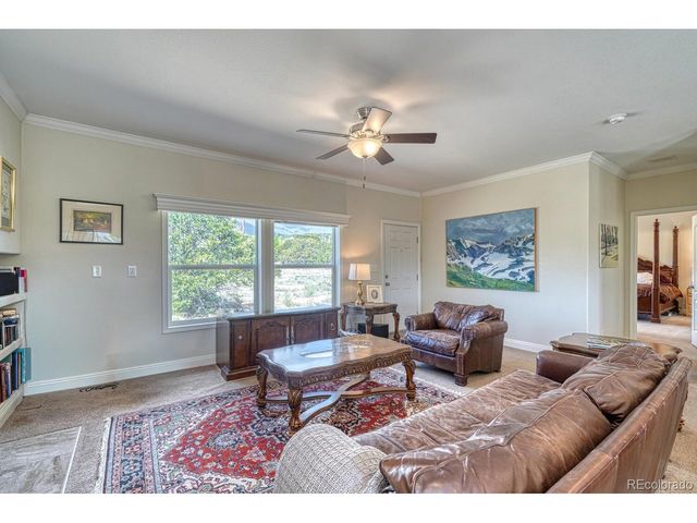 14124 County Road 162, Nathrop, CO 81236