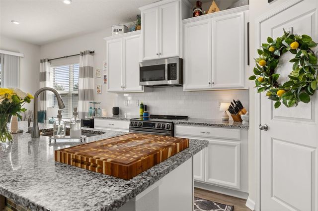367 AUGUST FERN LOOP, Mount Dora, FL 32757
