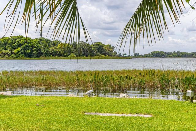 367 AUGUST FERN LOOP, Mount Dora, FL 32757