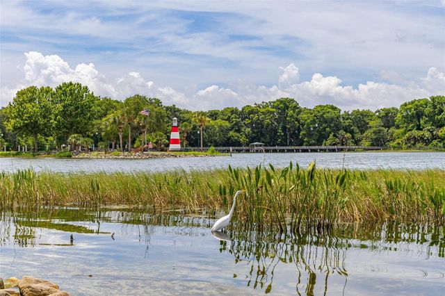 367 AUGUST FERN LOOP, Mount Dora, FL 32757