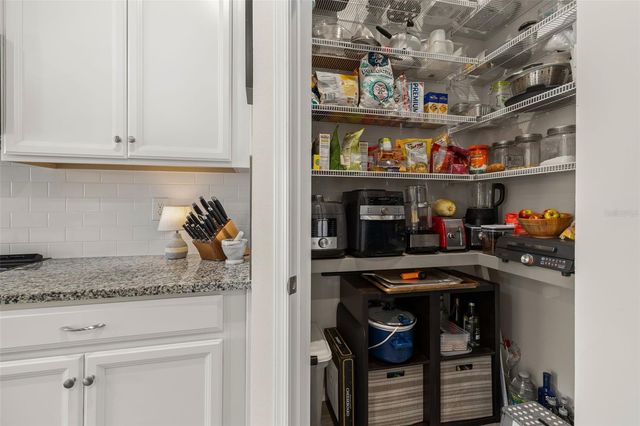 367 AUGUST FERN LOOP, Mount Dora, FL 32757