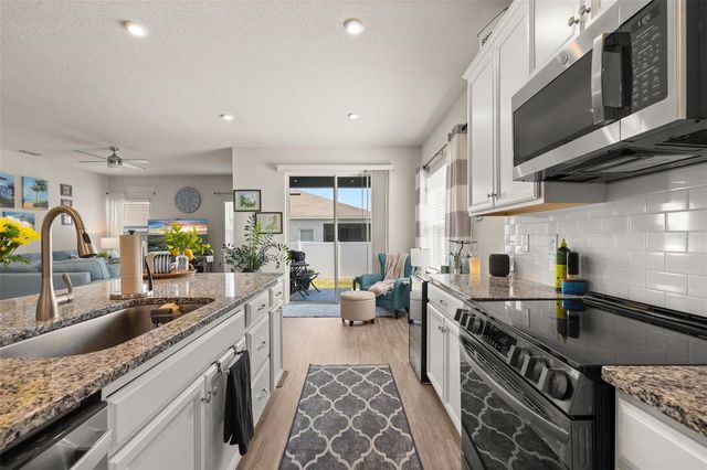 367 AUGUST FERN LOOP, Mount Dora, FL 32757