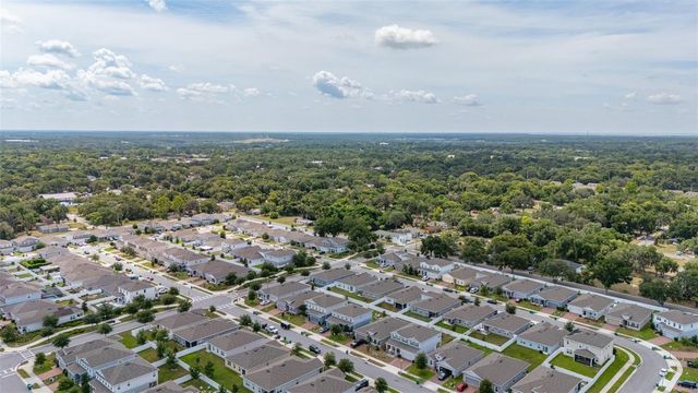 367 AUGUST FERN LOOP, Mount Dora, FL 32757