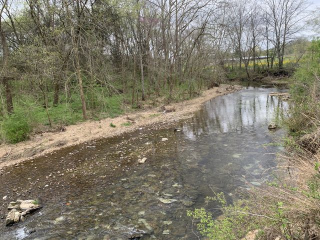 137 Factory Creek Rd, Ethridge, TN 38456
