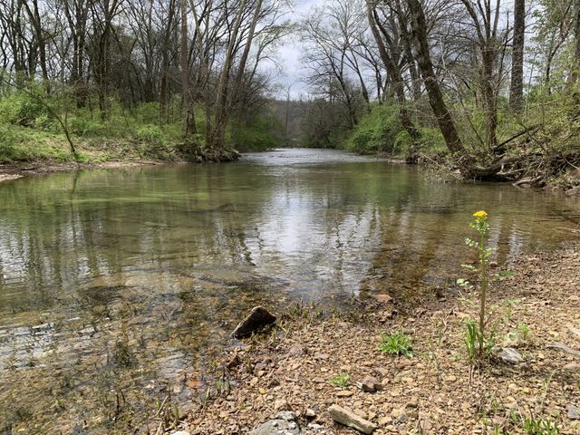 137 Factory Creek Rd, Ethridge, TN 38456