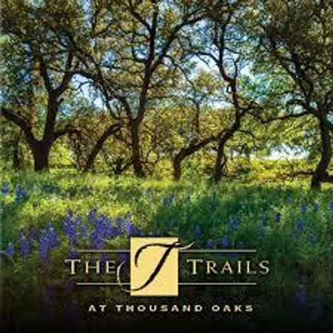 145 Red Hawk DR, Marble Falls, TX 78663