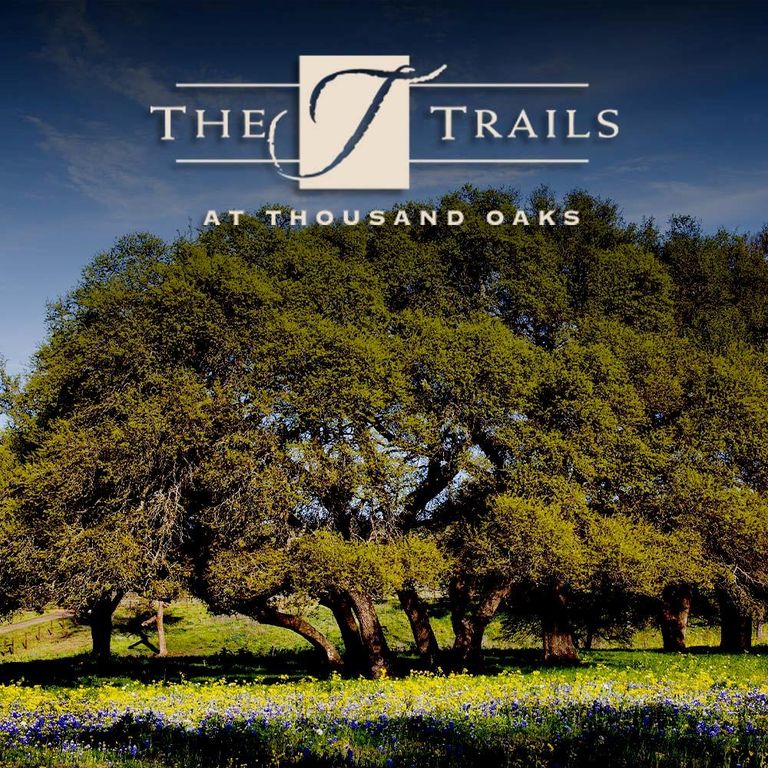 145 Red Hawk DR, Marble Falls, TX 78663